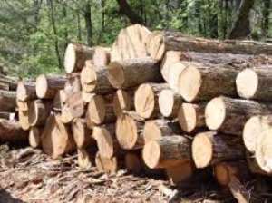 Domestic lumber market need education to protect forests in Ghana
