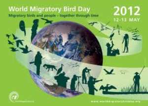 Ghana to commemorate World Migratory Birds Day at Ada
