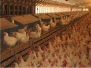 Poultry farmers trained on best practices