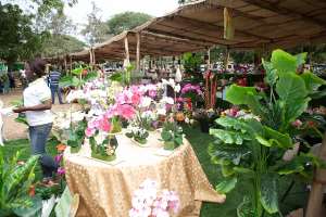 Ghana's Garden And Flower Show Offers More Than Eye Candy