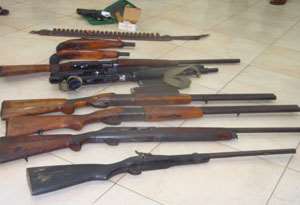 The seized guns