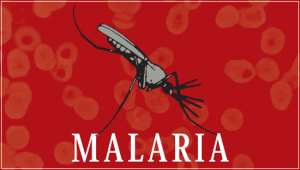 What To Know About Malaria
