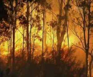 Bush fires destroy crops in Wa East District