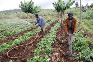 Create Sub-committees On Agriculture--MMDAs Charged