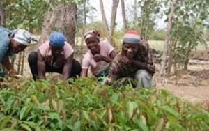Farmers demand investment in agric extension services