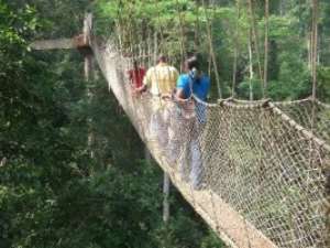 Kakum Canopy Walkway Intact, Safe And Secure- Management