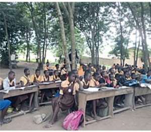Govt publishes first list of eliminated schools under trees