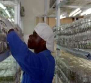 NYEP Employees urged to work with commitment
