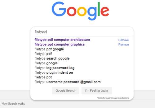 search for specific file type on google