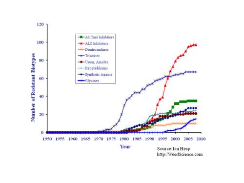 The vertical axis shows the number of species of weeds that have become chemical resistant, the horizontal axis shows the years. You can see the exponential increase starting about 1970 when Monsanto introduced Roundup, and continuing into 2010. (click to enlarge)