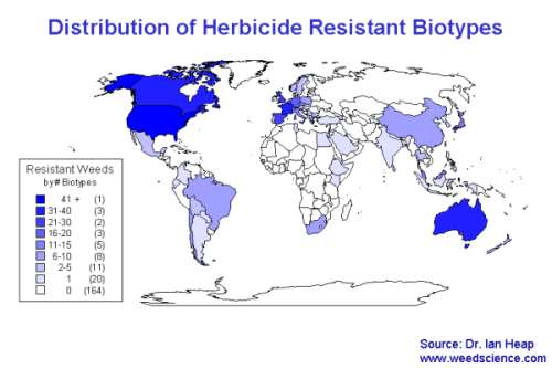 You can see the distribution, North America, Western Europe, and Australia have already been severely impacted. Africa is a huge new market that has not yet been ruined. You can see why it is so desirable, it is a huge wide open opportunity to Monsanto and other greedy chemical corporations. Most countries in Africa have not yet been touched or biologically recolonized by GMOs and agricultural chemicals. South Africa, which has allowed GMOs, is the most severely impacted to date. (click to enlarge)