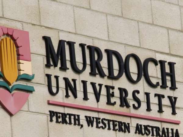 University Woes: The Managerial Class Gets Uppity