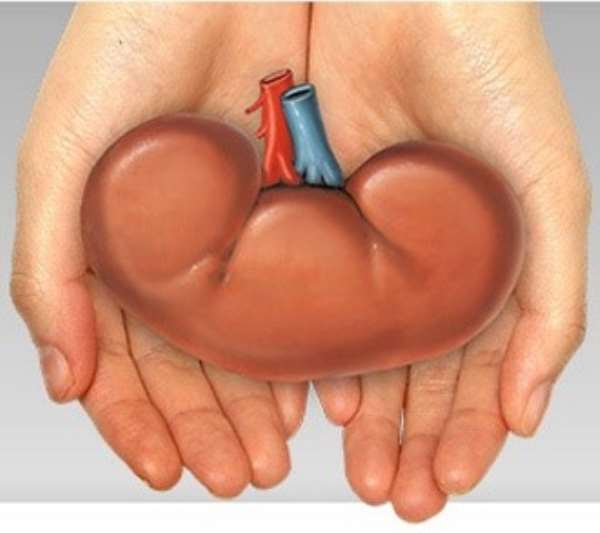 Child’s Organs Save Life Of 60year Old Man At Aster CMI Hospital