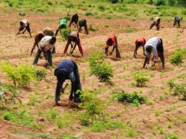 New Project Launched To Help Chadian Farmers Adapt To Climate Change, Boost Agriculture