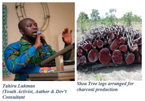 Upper West Region: Why Cut Shea Trees for Charcoal Production? Youth Activist Queries!