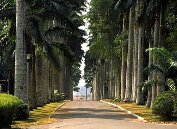 Critical Warning & Call For Action To The District Assembly, Minister Of Roads, Minister Of Forestry, Eastern Regional Chiefs, Real Estate Developers & NGO/CSO: