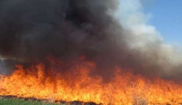 2019 National Best Maize Farmer Loses 31-Acre Maize Farm To Bushfire