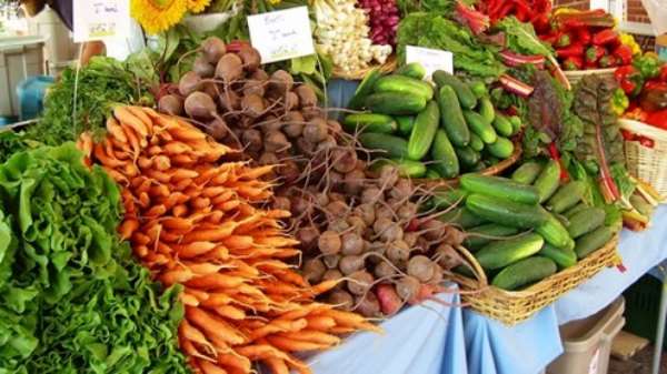 1,200 Farmers Registered For Planting For Food & Jobs In Domaa