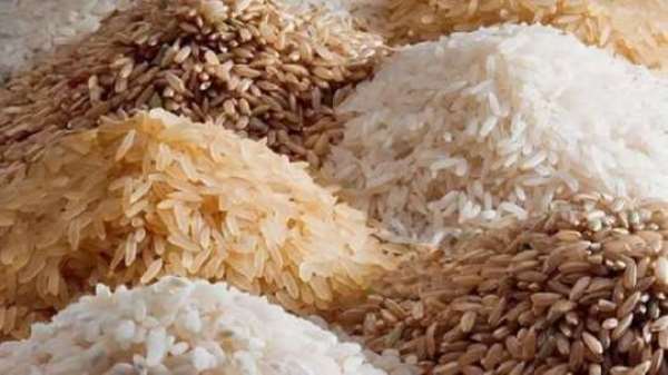 Northern Region: Rice Farmers Cry Foul Over Buyers' Exploitation