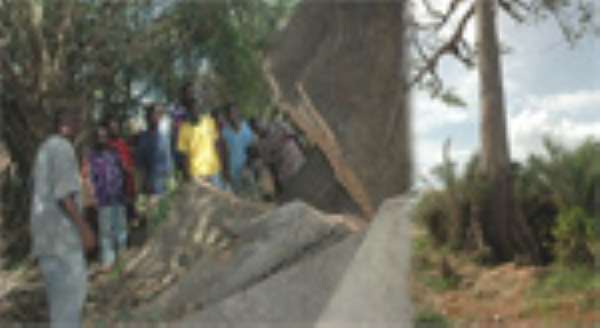 WITCH TREE SAGA ·Chiefs Demand Cow, Akpeteshie, Sheep
