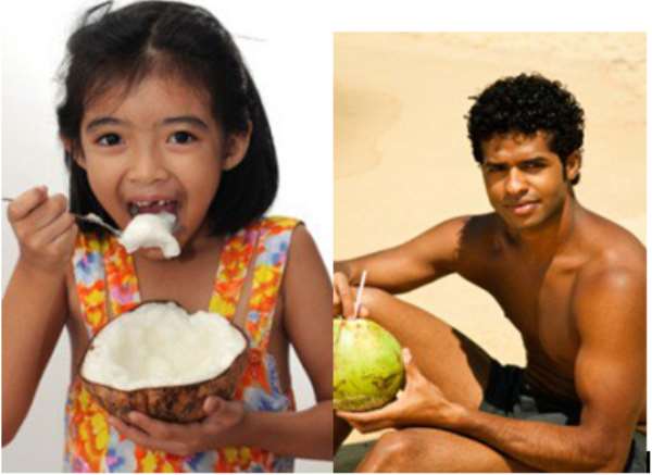 The Health And Other Benefits Of Coconut (2)