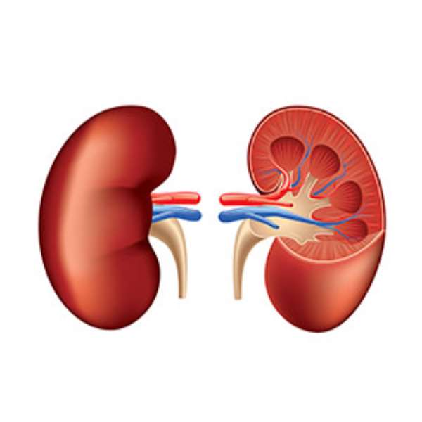 March Is Kidney Awareness Month