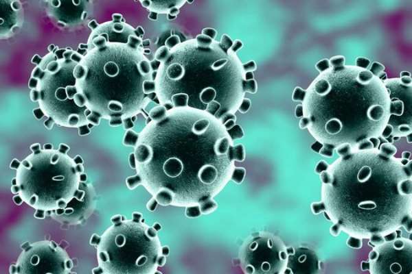 PDL Supports President Julius Maada Bio’s Preventive Measures Against The Spread Of The Corona Virus (COVID-19) Pandemic