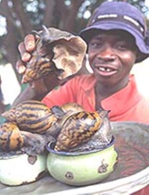Ghana making millions from snail farming ...