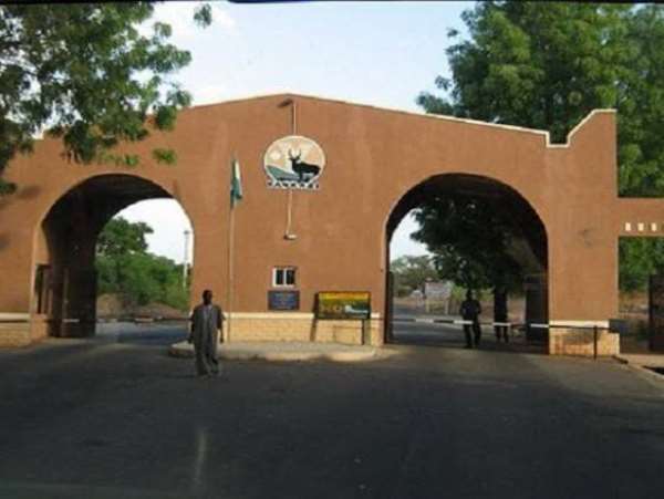 Top 5 Nigerian Destinations For The Wildlife Lovers