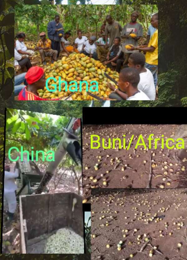 So what at all are our schools teaching in Ghana/Africa?