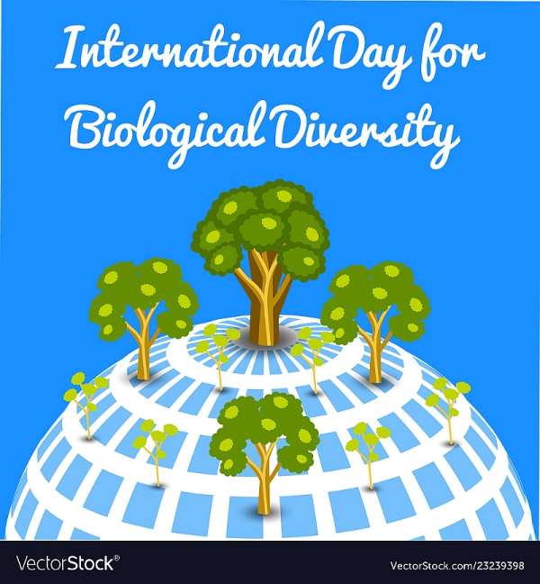CSO Platform On SDGs Ghana-Sub-Platform SDG 15 Marks International Day For Biological Diversity