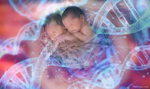 The birth of Lulu and Nana