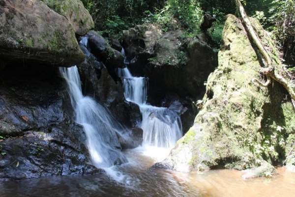 The Atewa natural forest