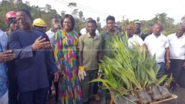Former ‘Galamseyers’ Given Second Chance With Oil Palm Project