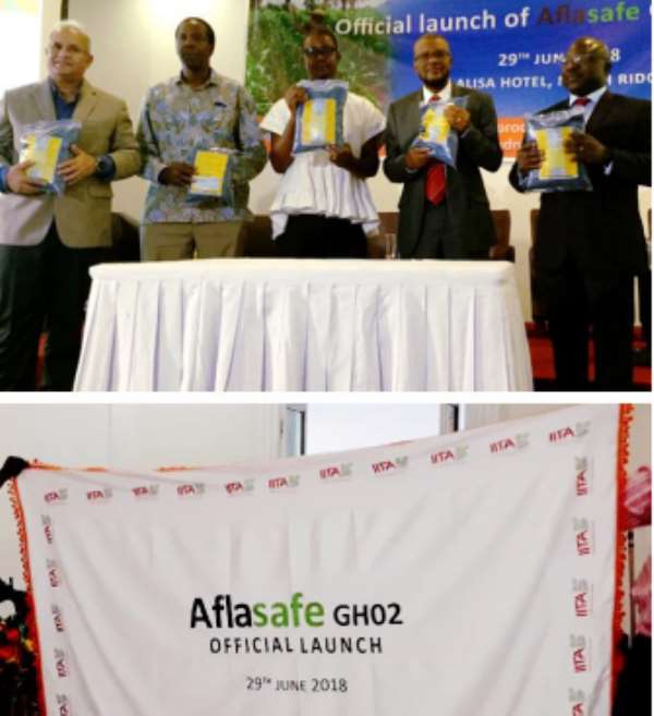 Aflasafe unveiled! Showing off packs of Aflasafe GH02 at its launch in Accra, Ghana are (left to right, above): Dr Ranajit Bandyopadhyay, Principal Scientist (Plant Pathology) and Research Leader of the Africa-wide Aflasafe Initiative at IITA; Dr Seydou Samake, the USDA and USAID Regional Sanitary and Phytosanitary Policy Advisor; Mr Harry Blepony, Deputy Director of Crop Services at the Ministry of Food and Agriculture, representing Dr Owusu Afriyie Akoto, the Minister for Food and Agriculture;