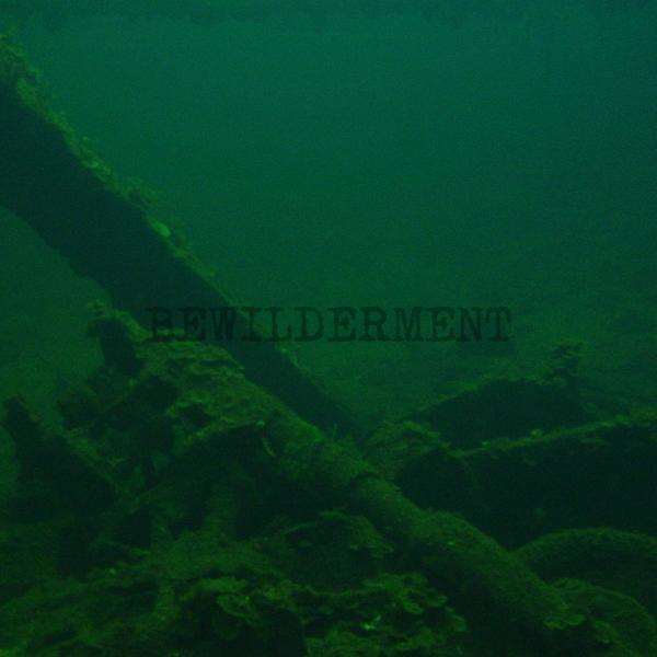 Songs Of Bewilderment