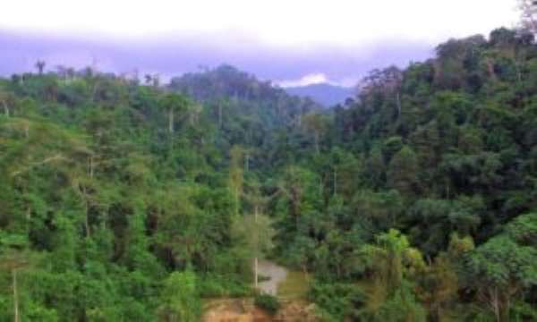 Don’t Use Atiwa Forest To Mine Bauxite