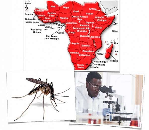 Lice. Mosquitoes. Stereotypes (3)