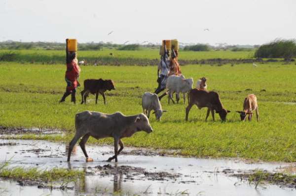 Women from the Tana River delta carrying water. - Source: SIMON MAINA/AFP via Getty Images