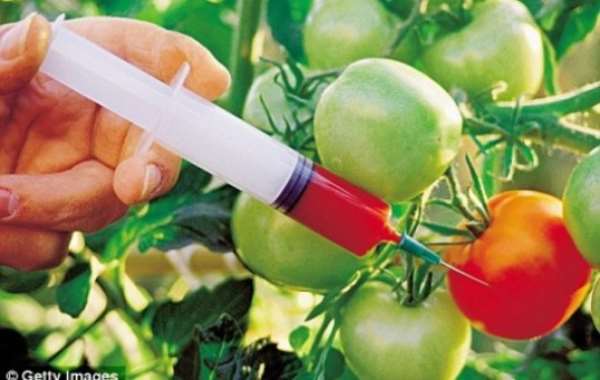 The Obnoxious Plant Breeders’ Bill Is Back To Parliament