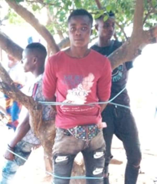 Three Thieves Tied Up For One Night After Stealing Goat