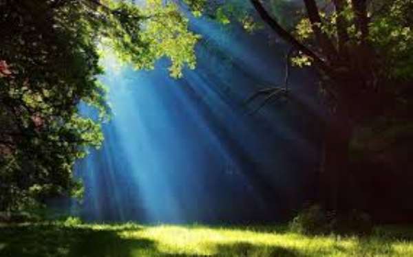 The Special Light
