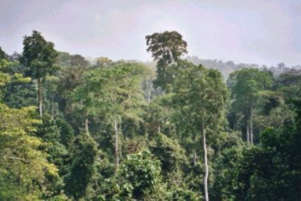 Thirty Forest Reserves are