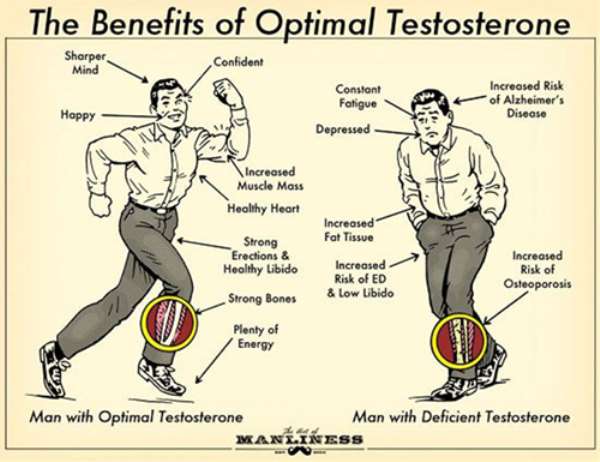 “balls In Danger” Why Testosterone Is Very Important To Mens Health Ii 6517