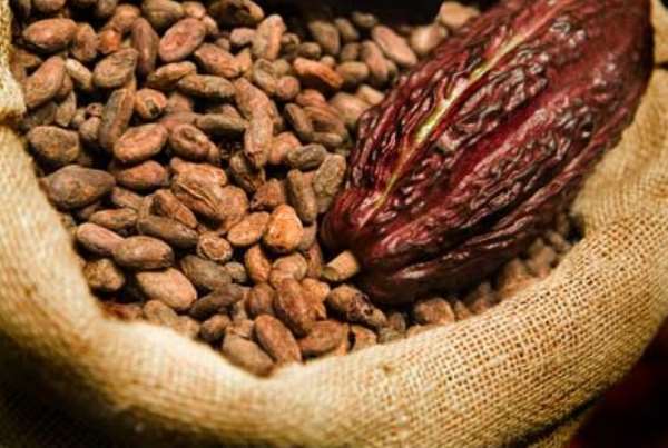Ghana’s Ambassador To China Fight For Tariff-Free Entry Of Ghana’s Cocoa Products Into Chinese Market