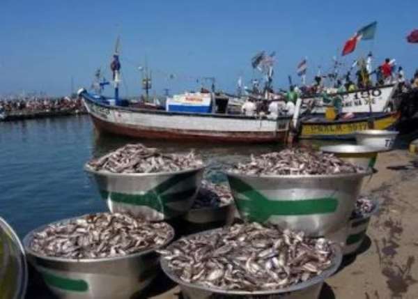 Fisheries specialist criticises Minister’s decision to extend closed season at Elmina