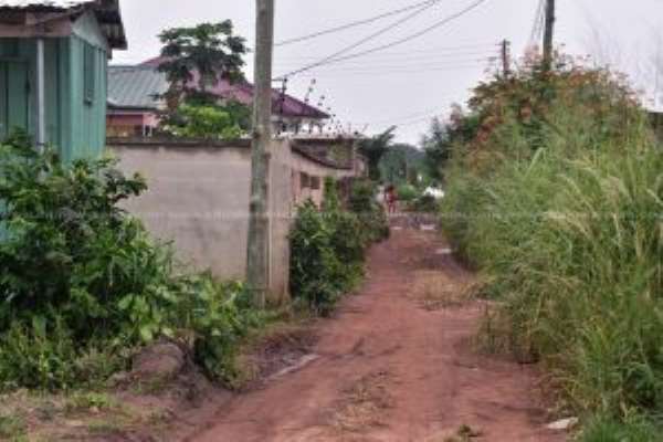 Trassaco Land Abandoned ‘Breeding’ Snakes, Criminals