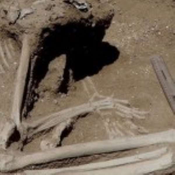 Ancient ‘Massacre’ Unearthed Near Lake Turkana, Kenya