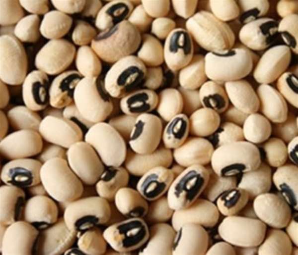 Two GMO Varieties Of Rice, Cowpea Developed In Nyankpala—Dr. Ampadu-Ameyaw