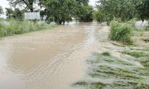 Farmlands in northern Ghana submerged in floods, Credit: graphic.com.gh